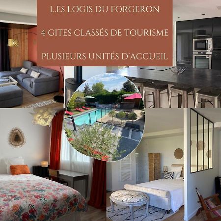Les Logis Du Forgeron, Gites De Groupe Entre Loire & Vignes Saint-Jean-des-Mauvrets Zewnętrze zdjęcie